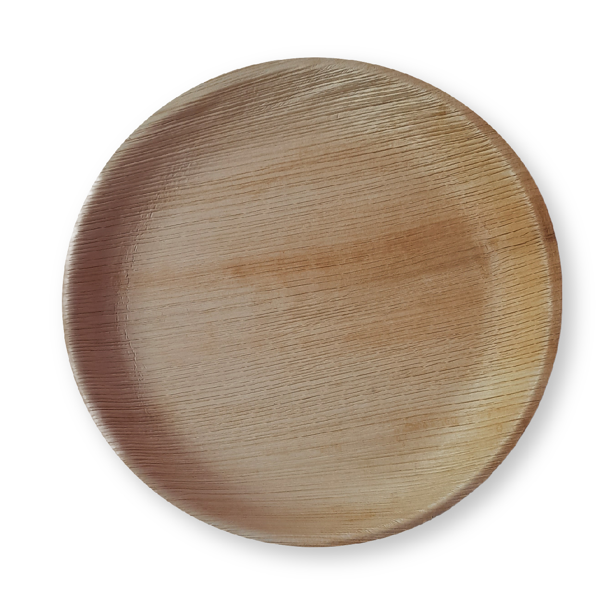 10 Inch Round Shallow Plates
