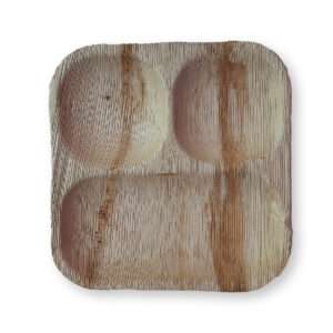 9 Inch Square 3 Compartments Plates